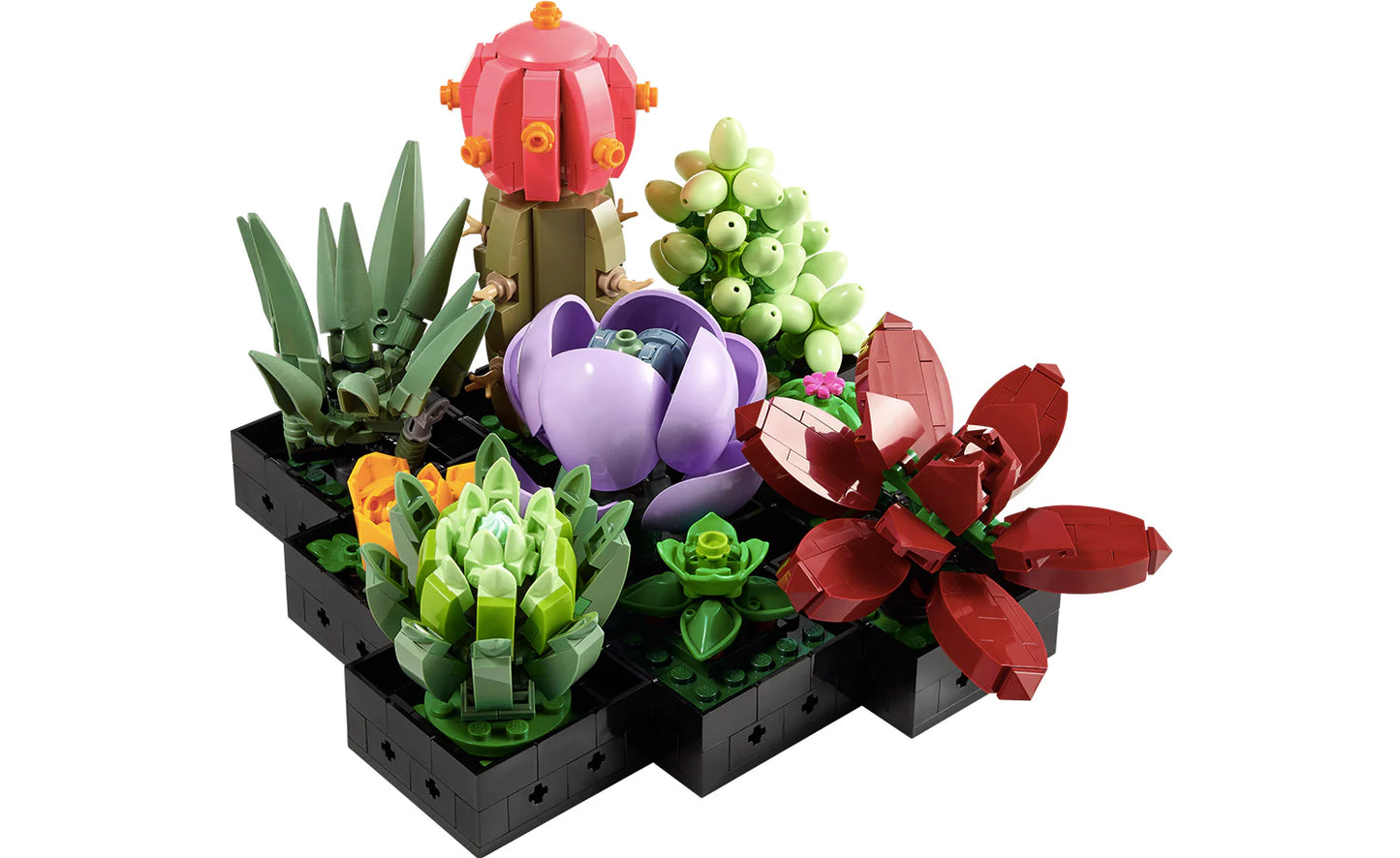 Lego Botanical Collection -Succulents 10309